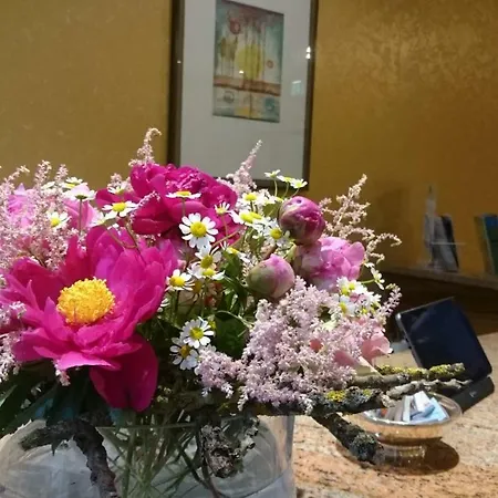 Отель Central Hotel 4*