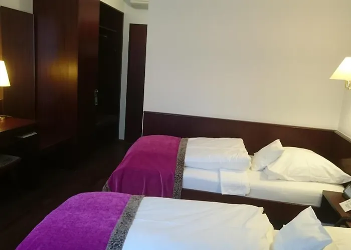 Central Hotel Hotel Fryburg Bryzgowijski