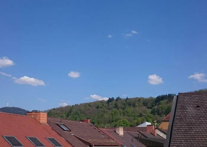 セントラル ホテル フライブルク